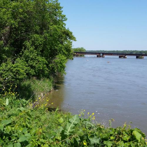 photo of river bank